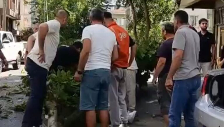genc-dizi-oyuncusunun-uzerine-agac-dustu-yasam-mucadelesi-veriyor-tw9xc9PM.jpg