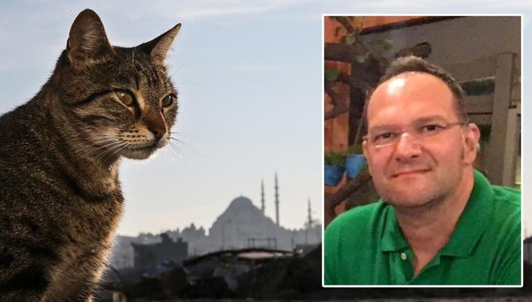kedi-tuyunden-olum-haberlerine-yalanlama-zlj9KSaV.jpg