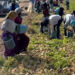 marketlerin-verdigi-fiyat-isyan-ettirdi-halka-bedava-dagitti-1NYuLmqN.jpg