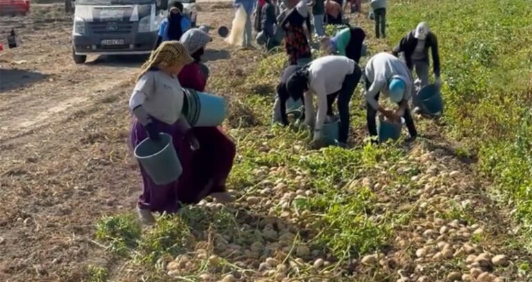 marketlerin-verdigi-fiyat-isyan-ettirdi-halka-bedava-dagitti-1NYuLmqN.jpg