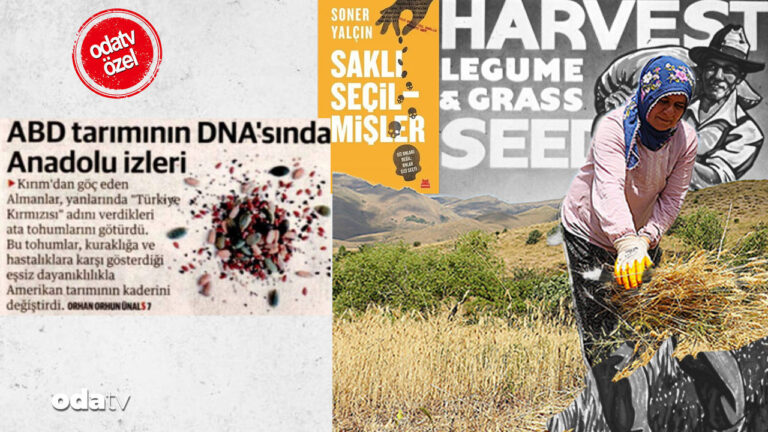 yeni-safak-basari-dedi-ama-milli-guvenlik-meselesi-bu-bir-sakli-secilmisler-haberidir-4KZs85Xv.jpg