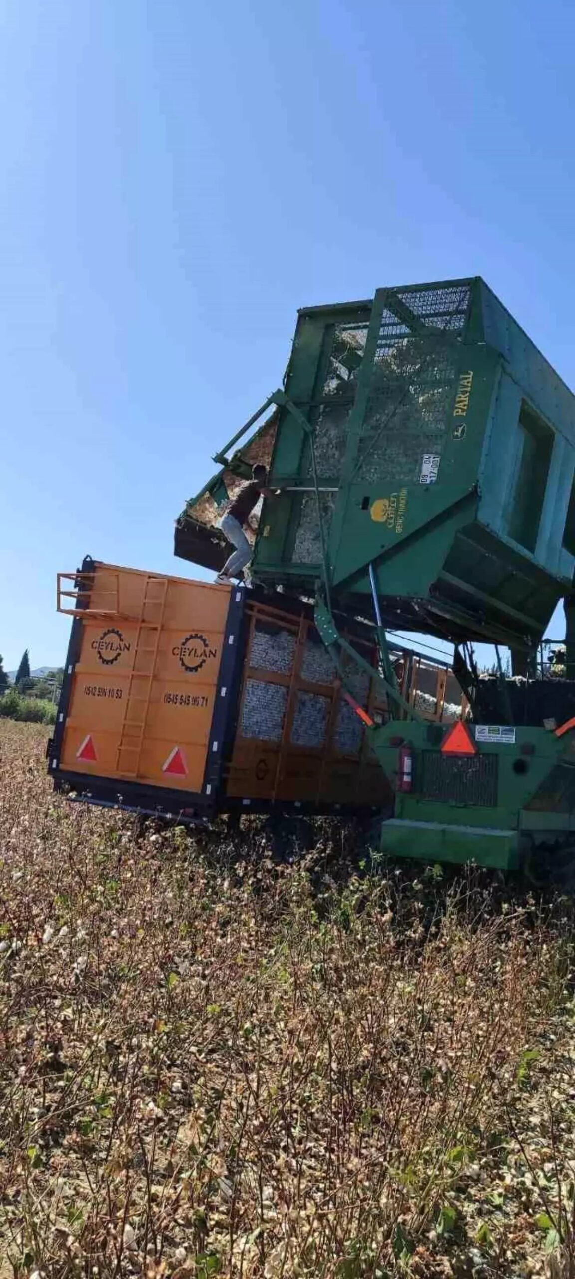 Didim’de Pamuk Hasat Kontrolleri Başladı