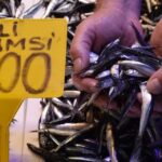 sezon-acildi-hamsinin-kilosu-100-lira-l19FWWhl.jpg