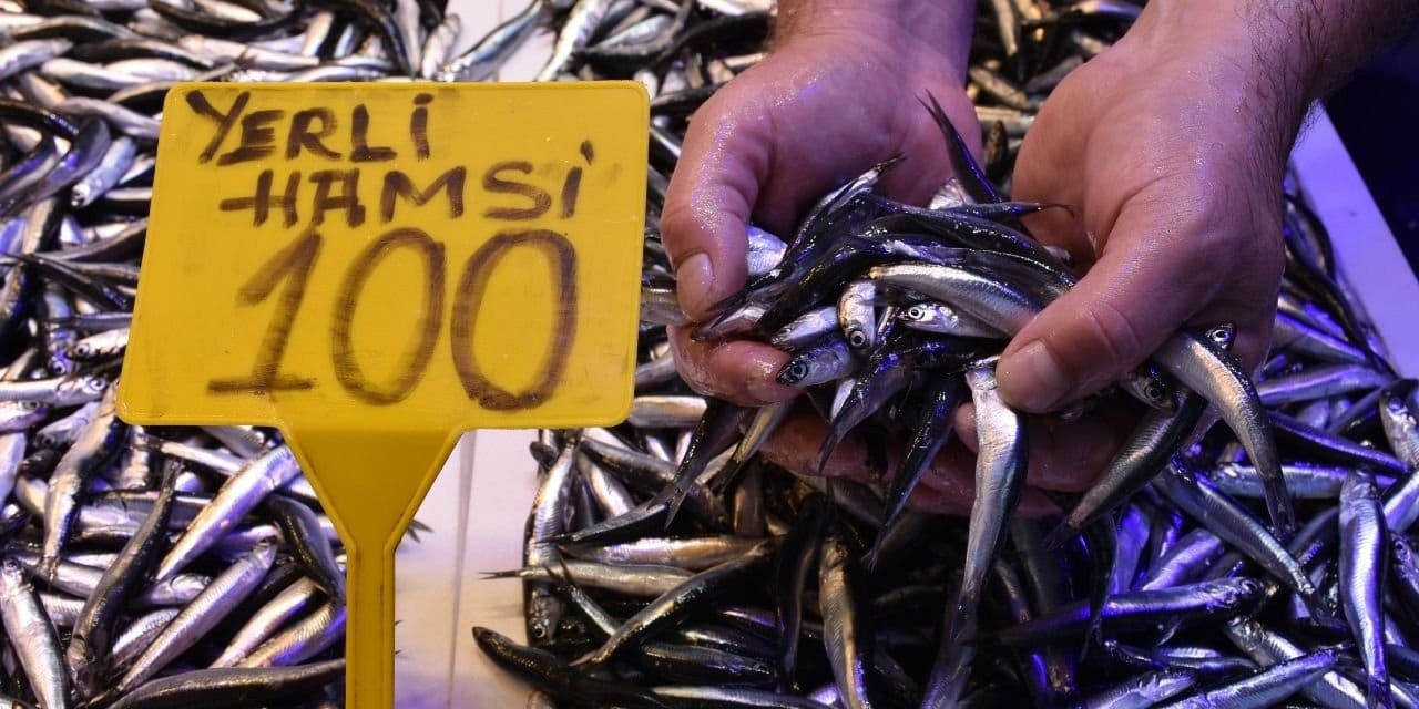 sezon-acildi-hamsinin-kilosu-100-lira-l19FWWhl.jpg