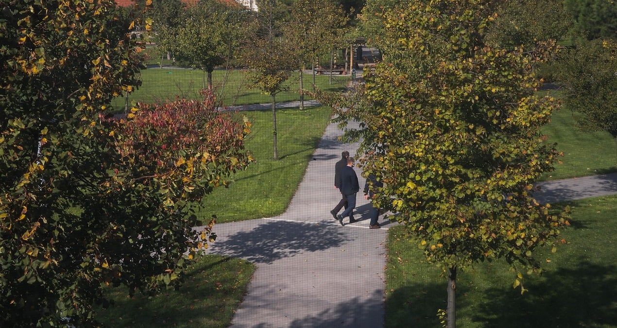 Yıldız Teknik Üniversitesi’nde kulüp ve toplulukların kapatılmasına sert tepki