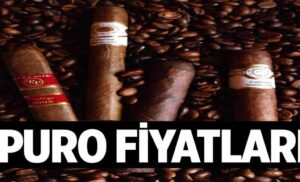 Puro Fiyatlari 1024x622wGH.jpg