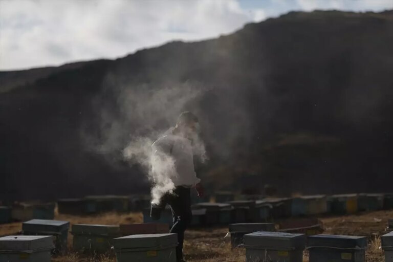 dede meslegi ariciligi devam ettiriyor s4ic1Krh.jpg