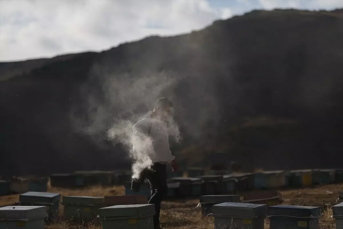 dede meslegi ariciligi devam ettiriyor s4ic1Krh.jpg