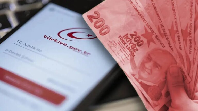 e-devletini-kontrol-etmeyenler-kaybediyor-paralar-devlete-iade-ediliyor-yyipqspJ.jpeg