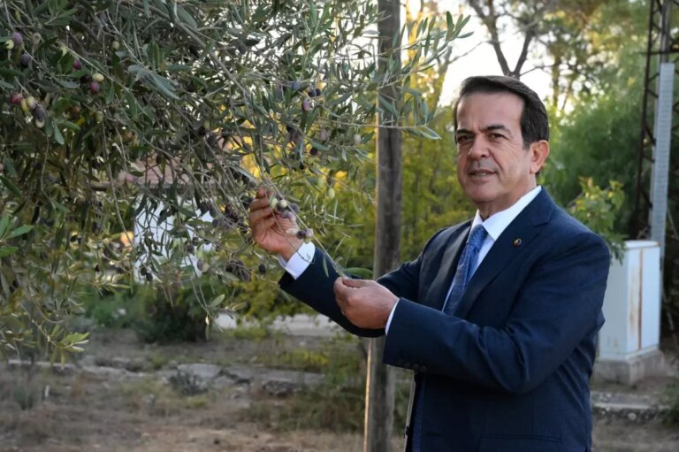 zeytinparkta-asirlik-zeytin-agaclarindan-70-kilogram-zeytin-bekleniyor-RHmTHMOs.jpg