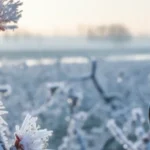 ekimde ureticilere 116 milyar tl hasar tazminati odendi OqrCGsR7.webp