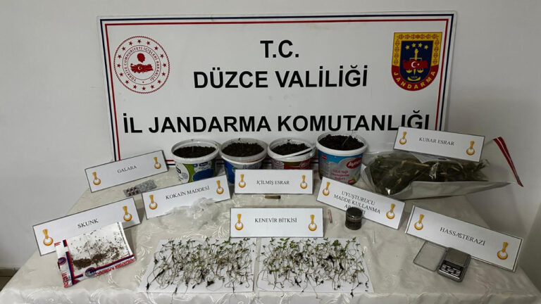 evinde-kenevir-yetistiren-supheli-baskinla-gozaltina-alindi-O4nFaXb3