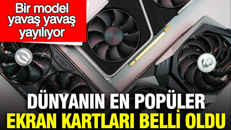 dunyanin-en-populer-ekran-kartlari-belli-oldu-bir-model-yavas-yavas-yayiliyor-Uye4l42s